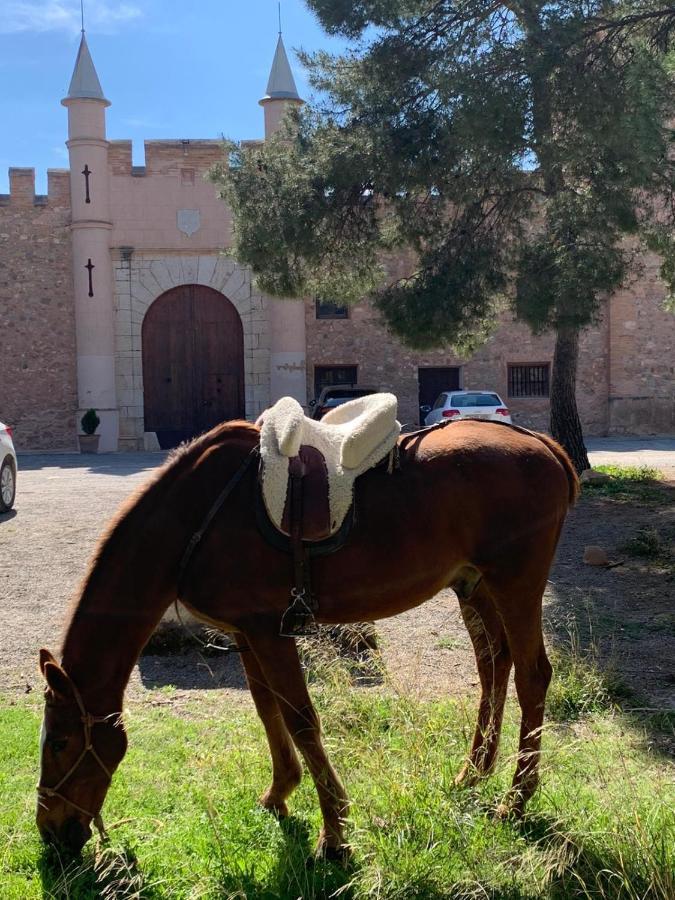 Castillo Con Piscina En Plena Sierra Calderona Segorbe Zewnętrze zdjęcie